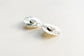 Cosmos post earrings